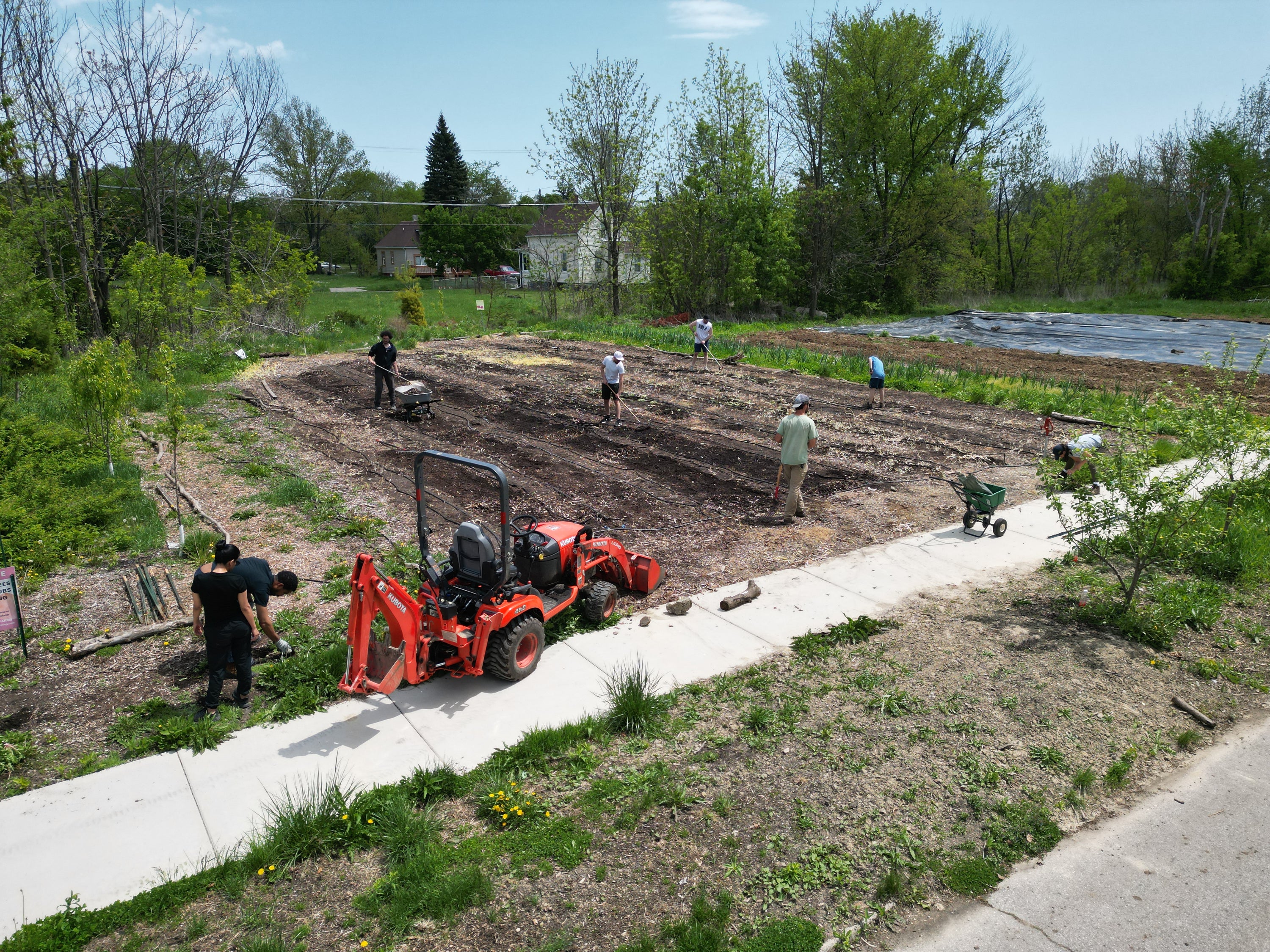 People working in a community garden with a tractor on a sunny day.