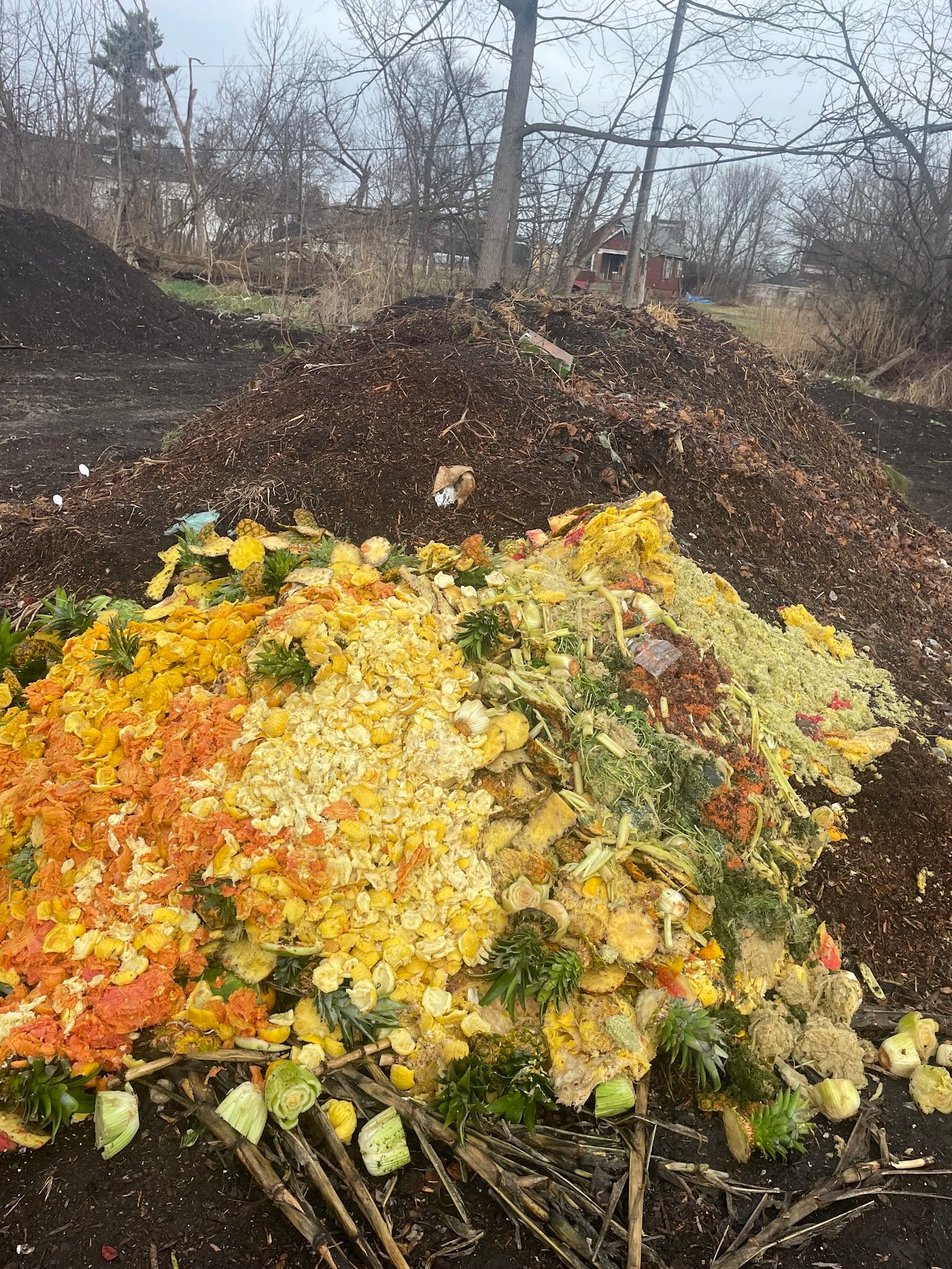 Pile of compost material with colorful plant debris in an outdoor setting.
