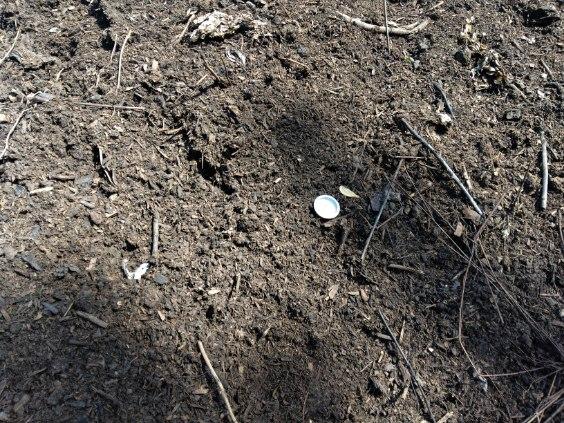 Compost with a compost thermometer