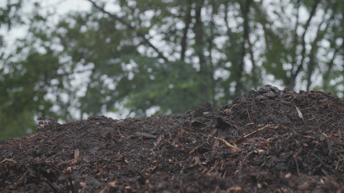 A close up of compost with trees in the background