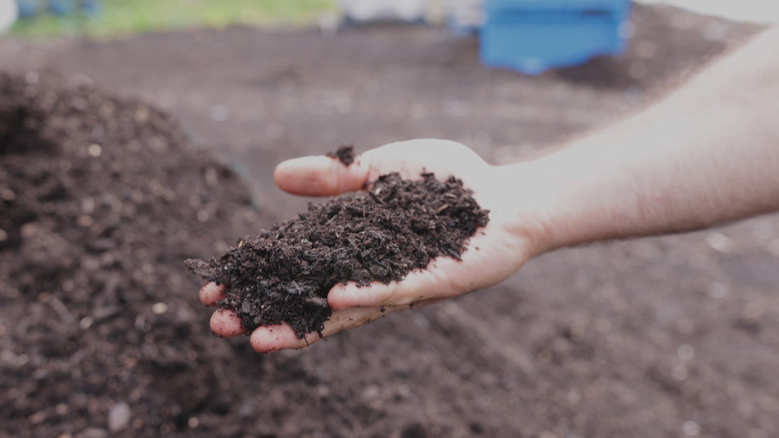 A hand holding finished compost